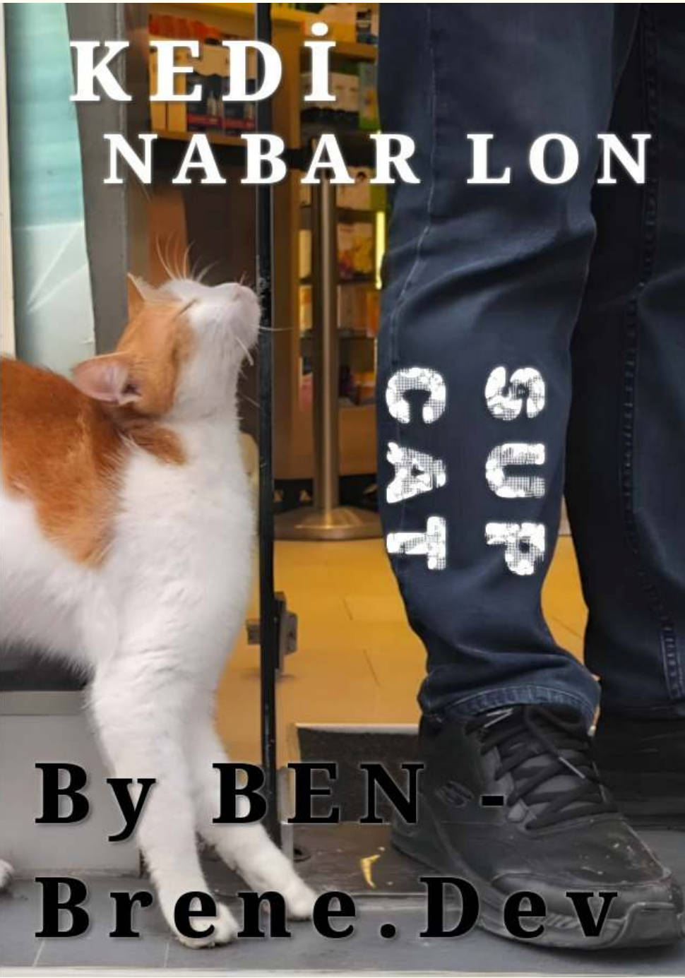 Book Cover 18
